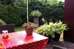 Tuin